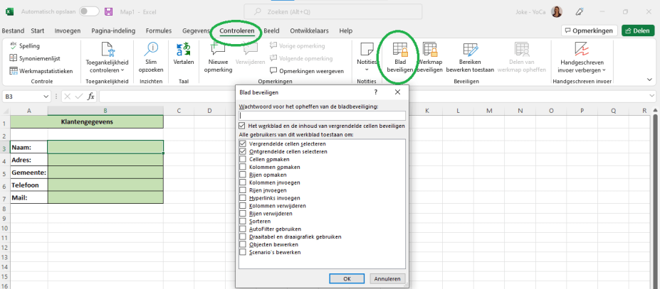 Excel - werkblad beveiligen
